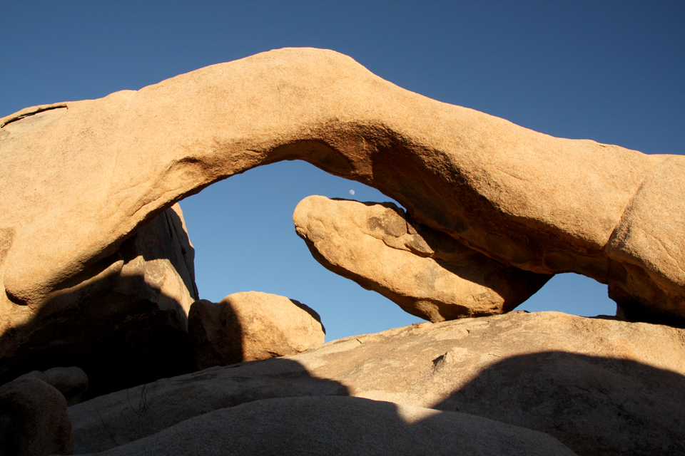 Joshua Tree